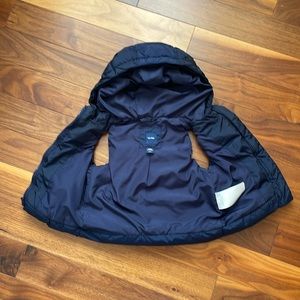 Gap Baby Navy Blue Vest
